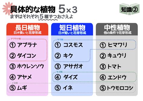 中性植物|長日植物、短日植物、中性植物の違い 